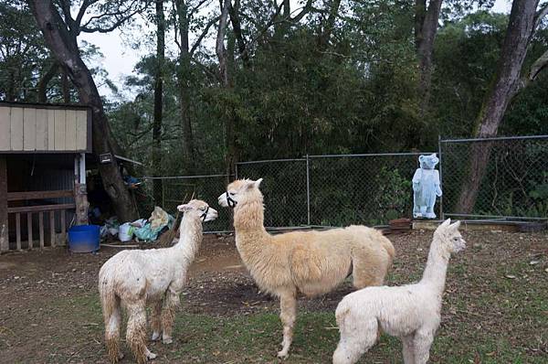DSC09156-1024.jpg DSC09156-1024.jpg