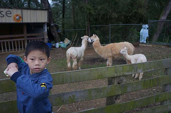 DSC09163-1024.jpg DSC09163-1024.jpg