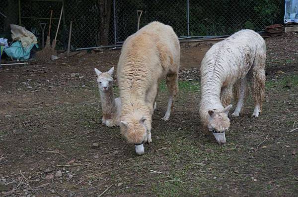 DSC09172-1024.jpg DSC09172-1024.jpg