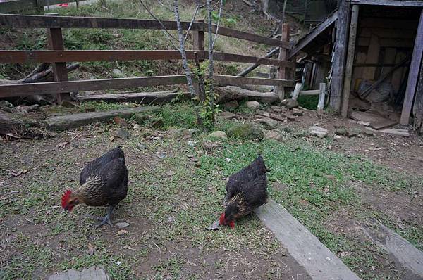 DSC09174-1024.jpg DSC09174-1024.jpg