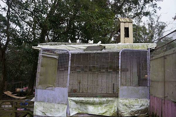 DSC09176-1024.jpg DSC09176-1024.jpg