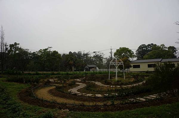 DSC09185-1024.jpg DSC09185-1024.jpg