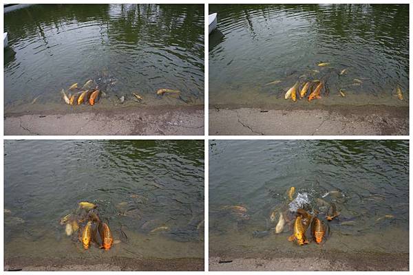 P05-1024.jpg P05-1024.jpg