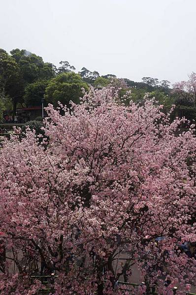 DSC09845-1024.jpg DSC09845-1024.jpg