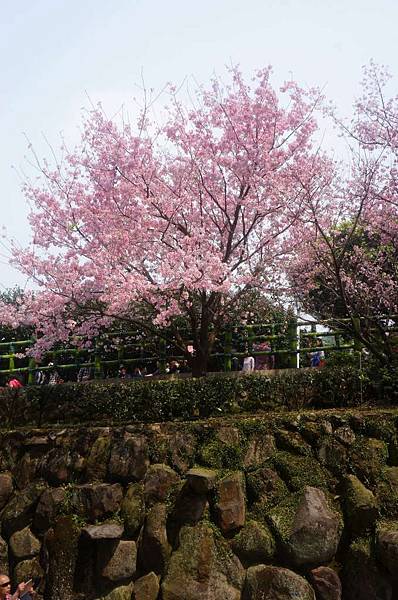 DSC09853-1024.jpg DSC09853-1024.jpg