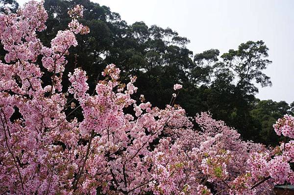 DSC09886-1024.jpg DSC09886-1024.jpg