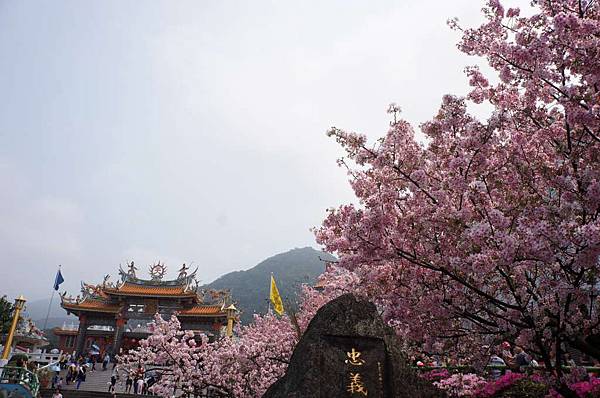 DSC09902-1024.jpg DSC09902-1024.jpg