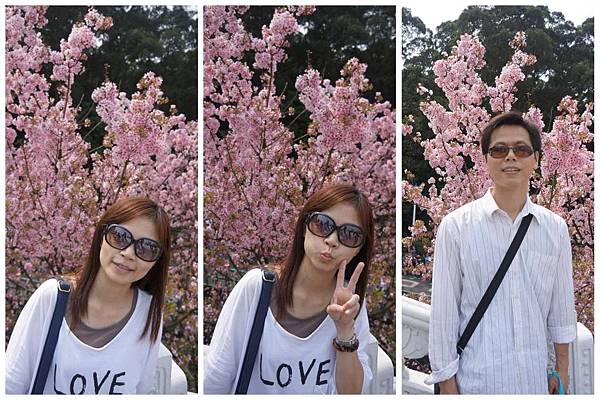 P22-1024.jpg P22-1024.jpg