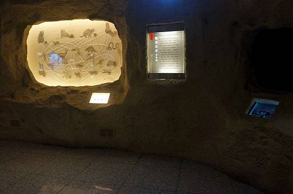 DSC00161-1024.jpg DSC00161-1024.jpg