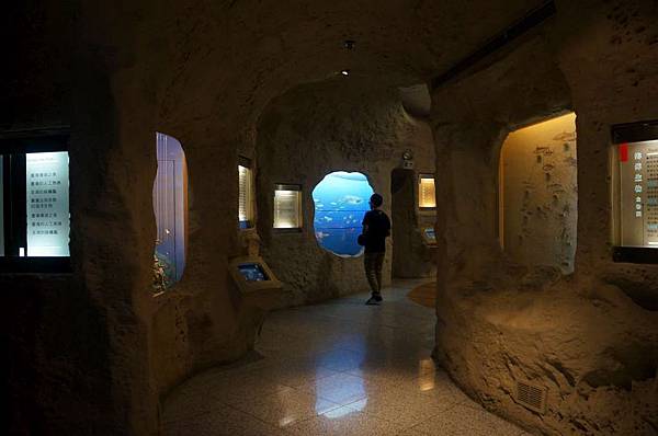 DSC00159-1024.jpg DSC00159-1024.jpg