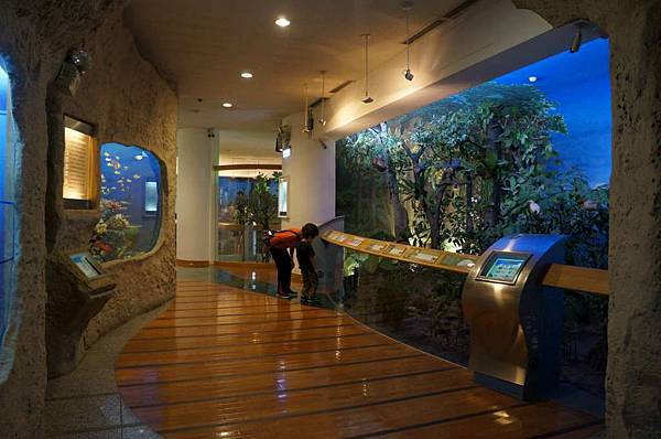 DSC00170-1024.jpg DSC00170-1024.jpg