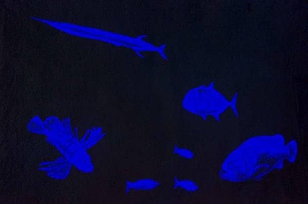 DSC00165-1024.jpg DSC00165-1024.jpg