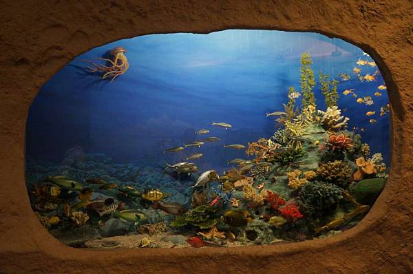 DSC00171-1024.jpg DSC00171-1024.jpg