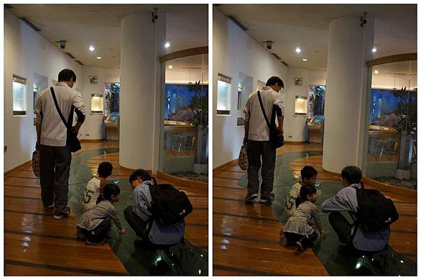 P10-1024.jpg P10-1024.jpg