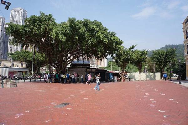 DSC06717-1024.jpg DSC06717-1024.jpg