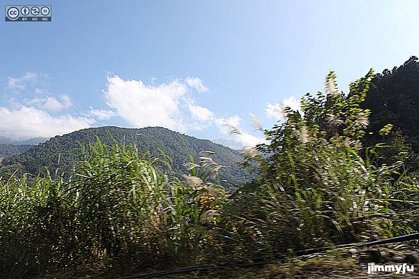 IMG_5836 IMG_5836