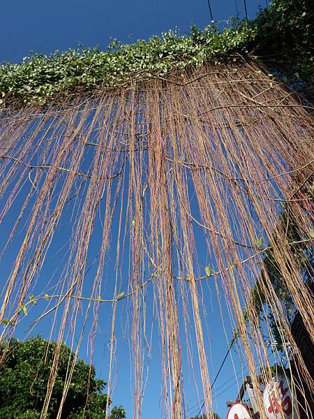 PB230039.JPG PB230039.JPG