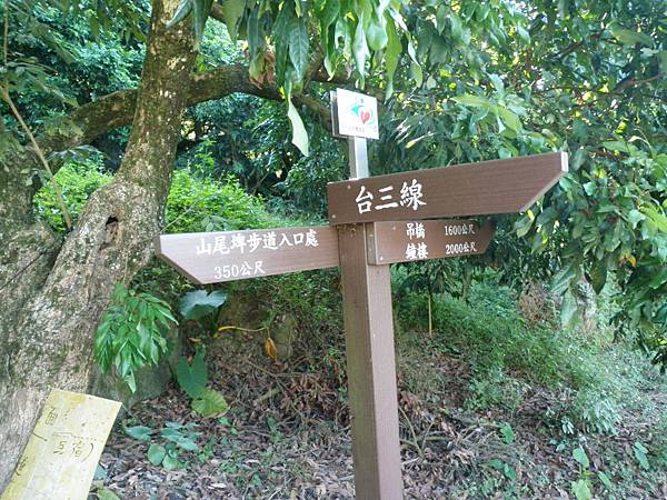 PB230078.JPG PB230078.JPG