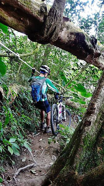 1524772_683709998336413_947493272_n