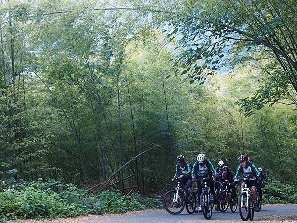 1538945_631127333590567_1958404932_n