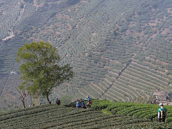 1519692_800864589928721_1844247002_o