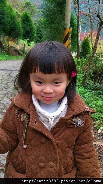 426073_10150700147785522_522345521_11313381_1561953482_n