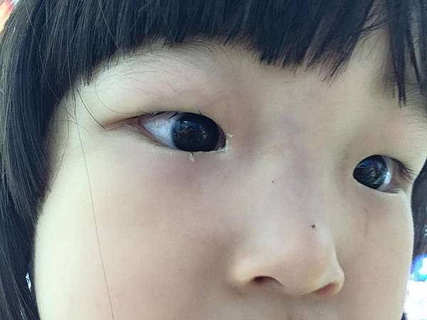 11120538_1026872190675363_5424693371475602816_n