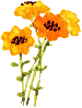 flower09.gif flower09.gif