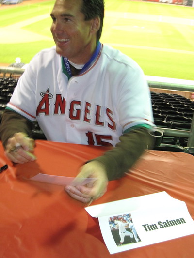 Mr. Angel Tim Salmon