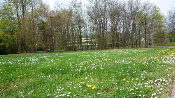 P1010131.JPG P1010131.JPG