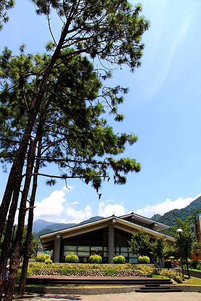 IMG_2869.JPG IMG_2869.JPG