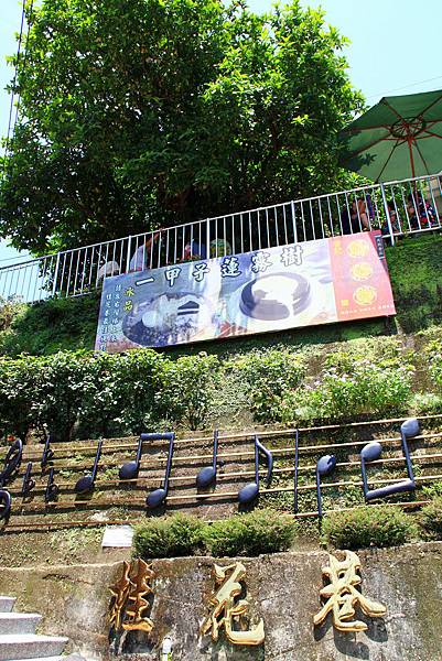 IMG_2884.JPG IMG_2884.JPG