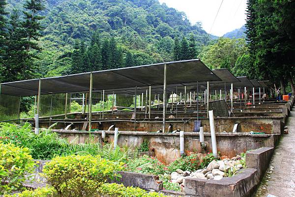 IMG_2937.JPG IMG_2937.JPG