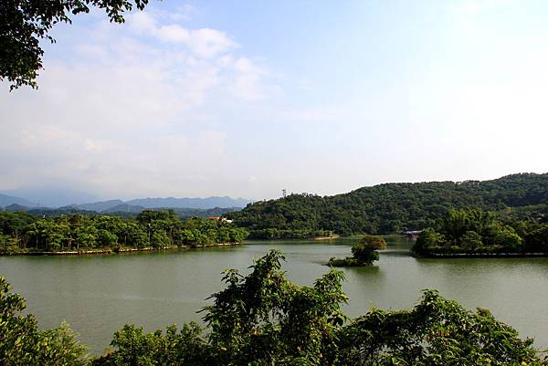 IMG_2950.JPG IMG_2950.JPG