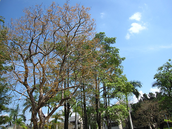 嘉義大學蘭潭校區