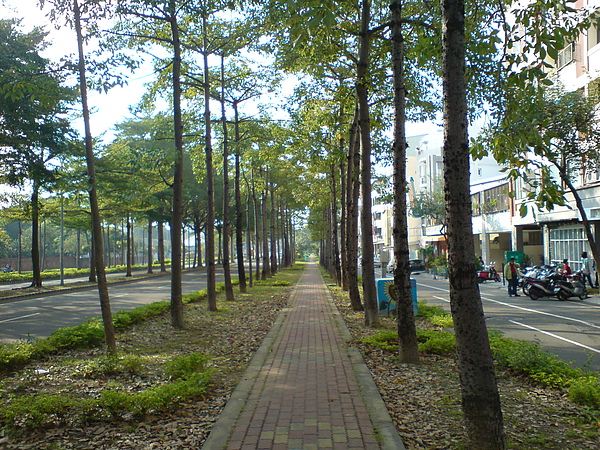 DSC09303.JPG DSC09303.JPG