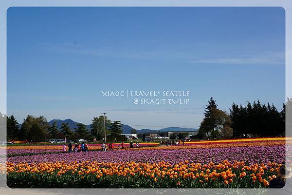 DSC03879_Fotor DSC03879_Fotor