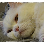 IMG_6904.JPG IMG_6904.JPG