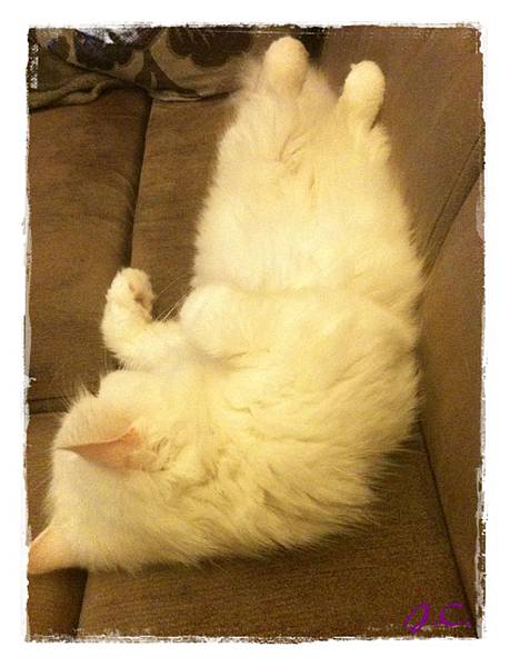 IMG_0332.JPG IMG_0332.JPG