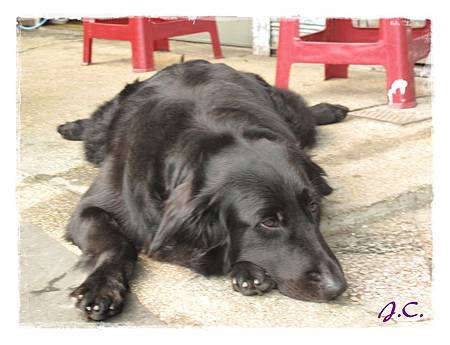 IMG_6998.JPG IMG_6998.JPG