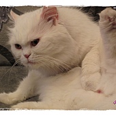 IMG_6913.JPG IMG_6913.JPG