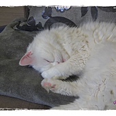 IMG_6899.JPG IMG_6899.JPG