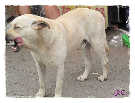 IMG_7000.JPG IMG_7000.JPG