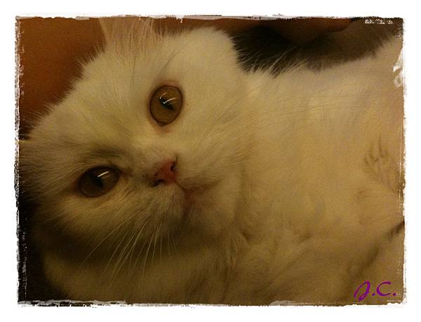 IMG_0331.JPG IMG_0331.JPG