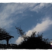 IMG_6902.JPG IMG_6902.JPG