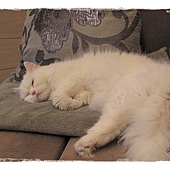 IMG_6905.JPG IMG_6905.JPG