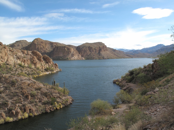 IMG_1203.JPG IMG_1203.JPG