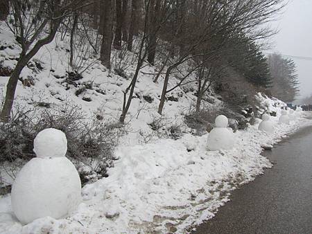 IMG_1790 - 複製 IMG_1790 - 複製