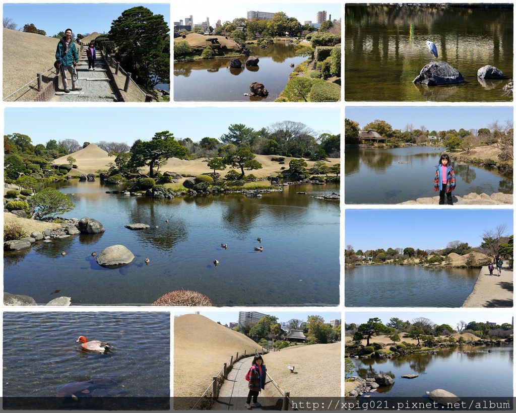 2014九州(20)D4熊本-水前寺成趣園、くまモン部長辦公
