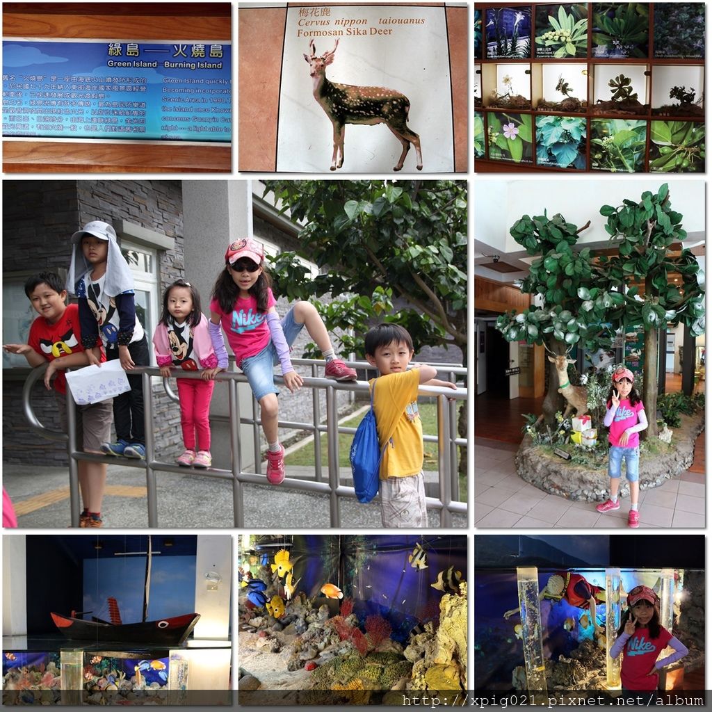 24-2-4.jpg 24-2-4.jpg